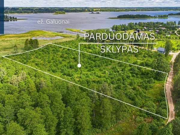 Molėtų r. sav., Liešiškės