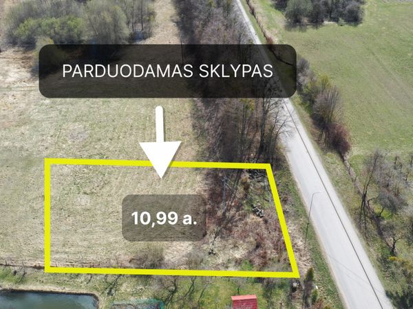 Kauno r. sav., Akademija