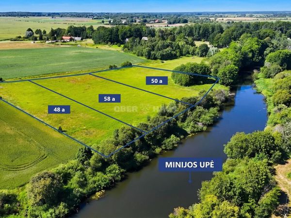 Klaipėdos r. sav., Liaunai