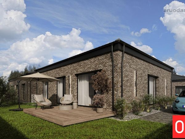 Kauno r. sav., Ringaudai