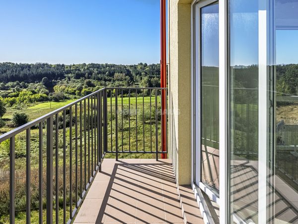 Raseinių r. sav., Ariogala