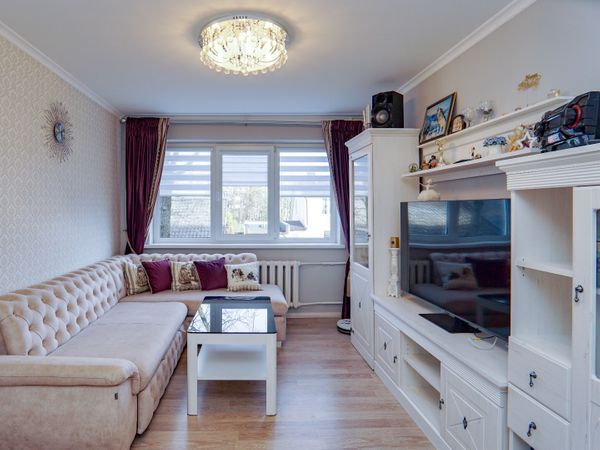 Panevėžys, Tulpės