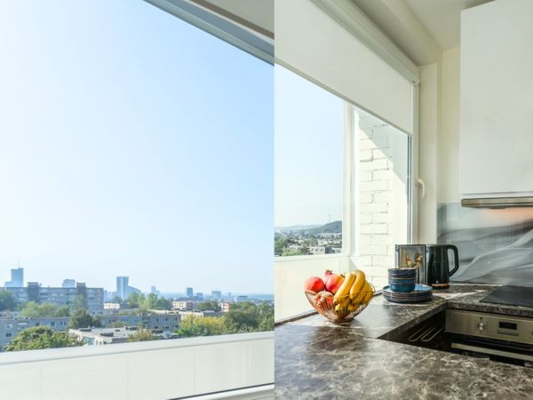 Vilnius, Šnipiškės