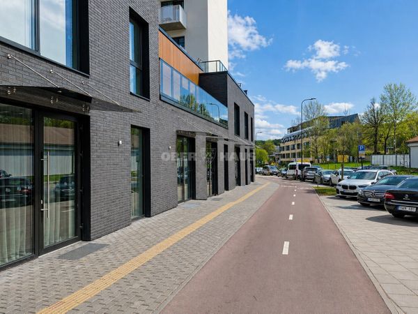 Vilnius, Šnipiškės