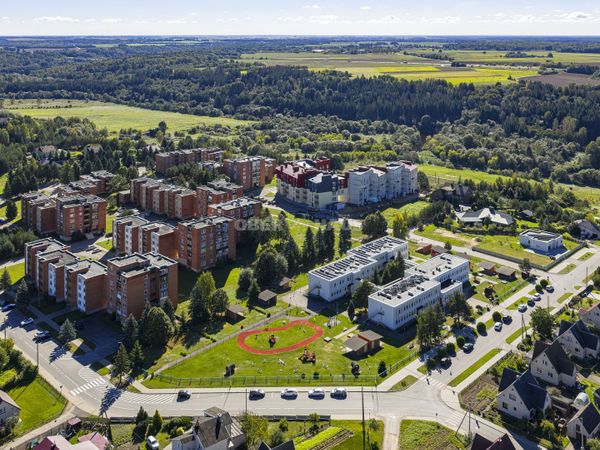 Raseinių r. sav., Ariogala