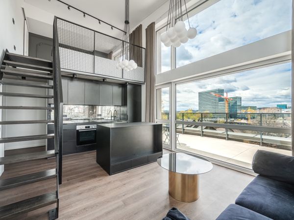 Vilnius, Šnipiškės