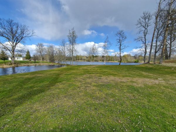 Rokiškio r. sav., Vengerinė