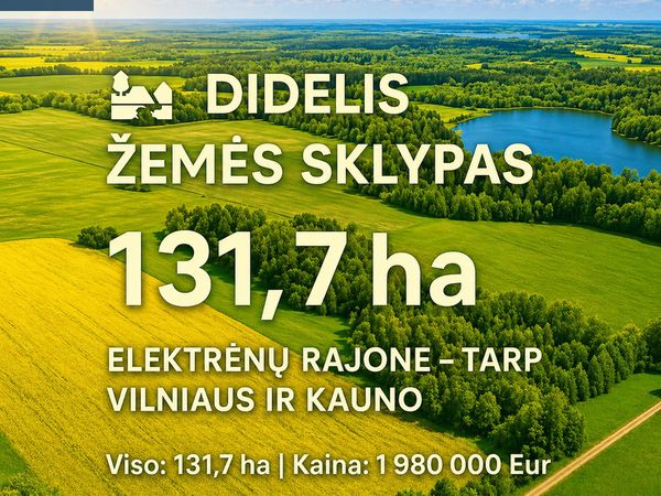 Elektrėnų sav., Elektrėnai