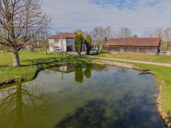 Kauno r. sav., Narsiečiai