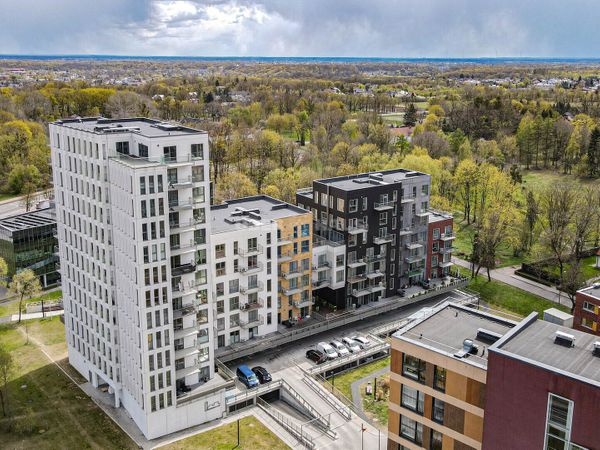 Kaunas, Freda
