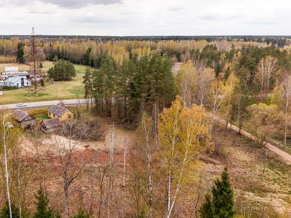 Kazlų Rūdos sav., Kazlai I