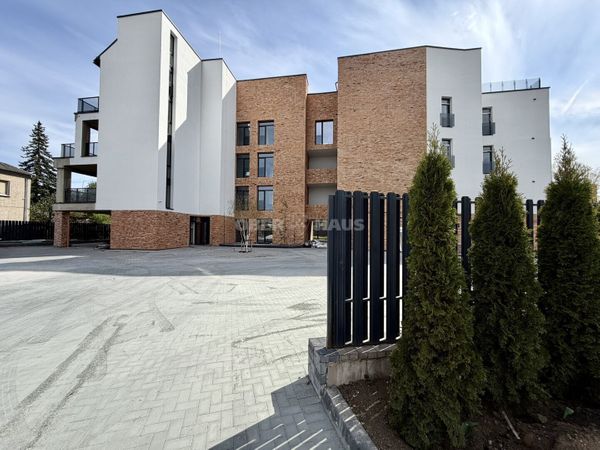 Panevėžys, Centras