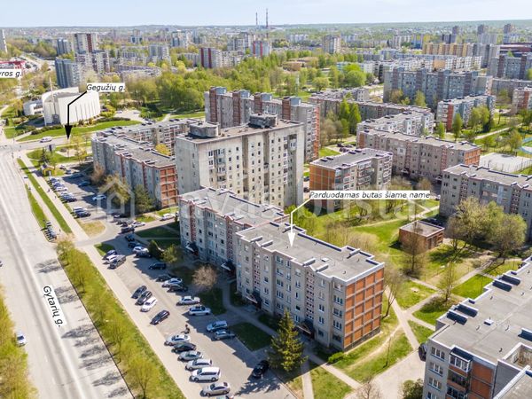 Šiauliai, Dainai
