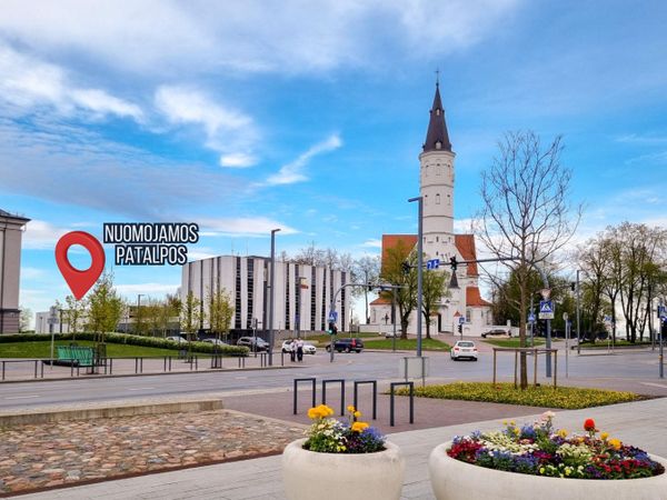 Šiauliai, Centras