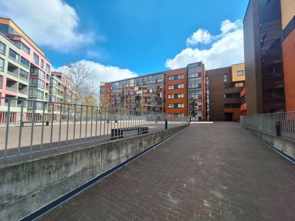 Kaunas, Žaliakalnis