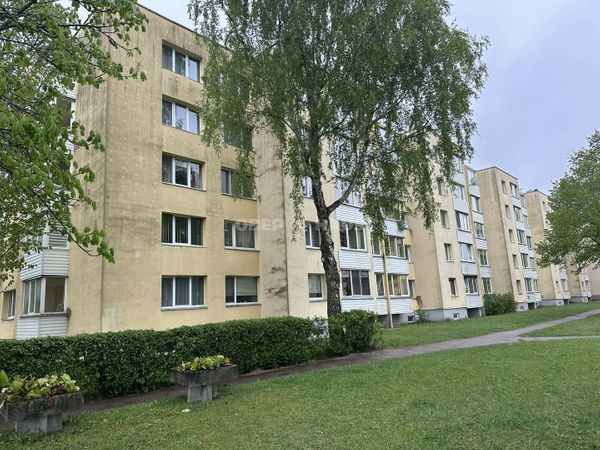 Panevėžys, Klaipėda