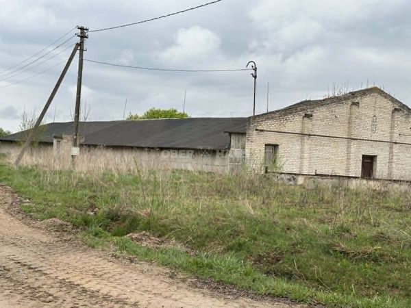 Panevėžio r. sav., Pažibai