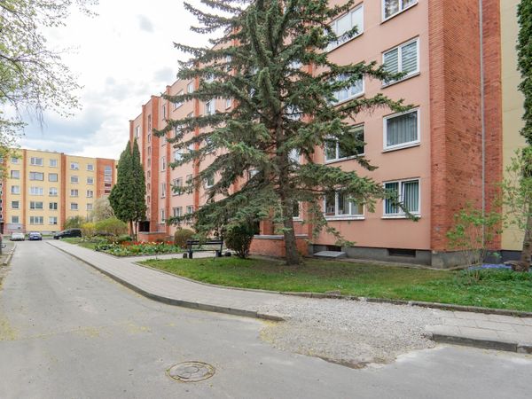 Panevėžys, Klaipėda