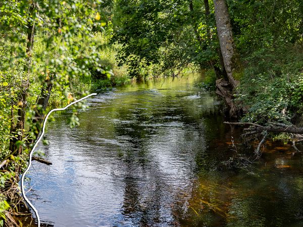 Širvintų r. sav., Viršuliškiai