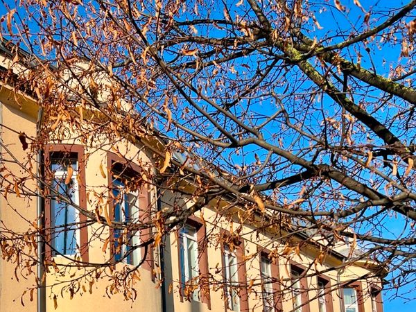 Kaunas, Žemieji Šančiai