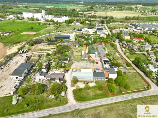 Elektrėnų sav., Vievis