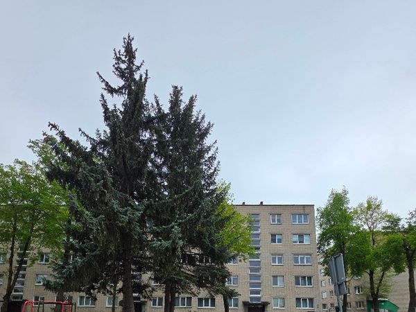 Marijampolės sav., Marijampolė, Gamyklų