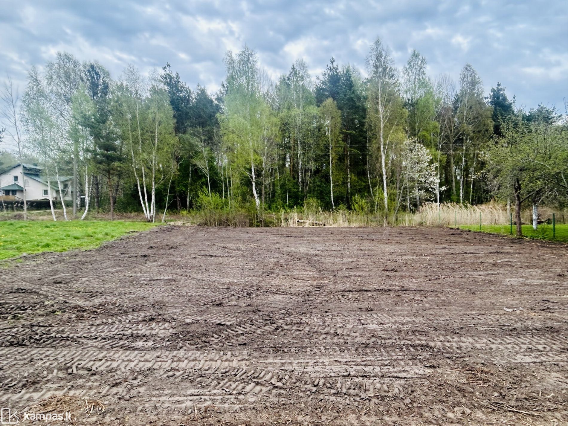 Main Image Palanga