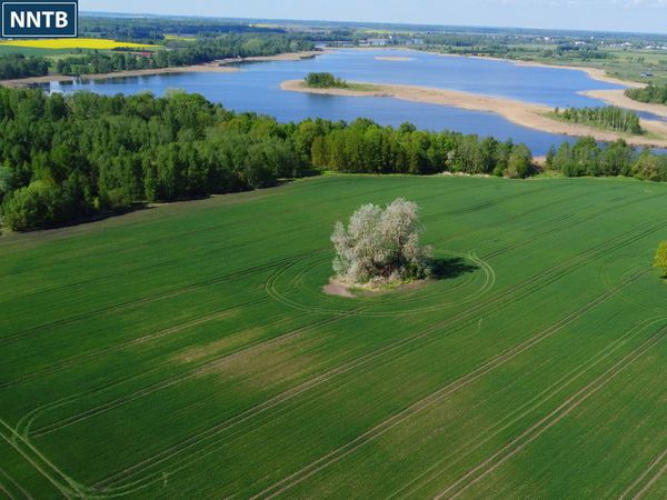 Ukmergės r. sav., Domantiškiai