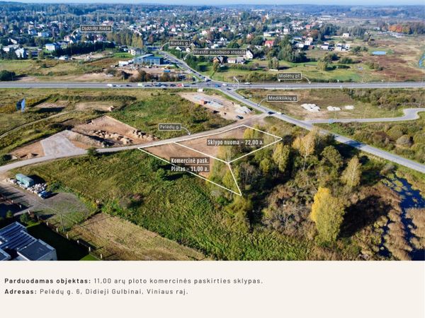 Vilniaus r. sav., Didieji Gulbinai