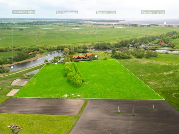 Šilutės r. sav., Pakalnė