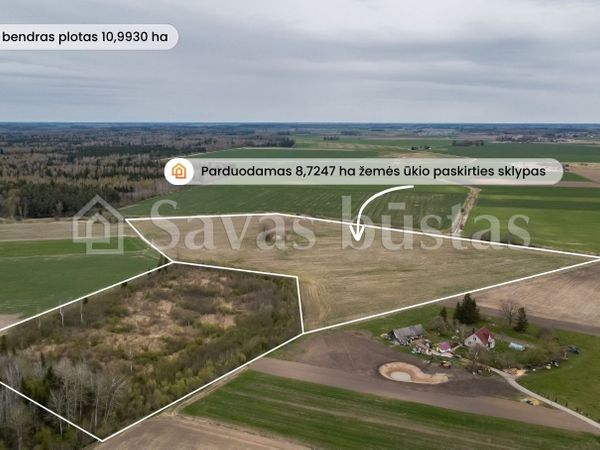 Šiaulių r. sav., Amaliai