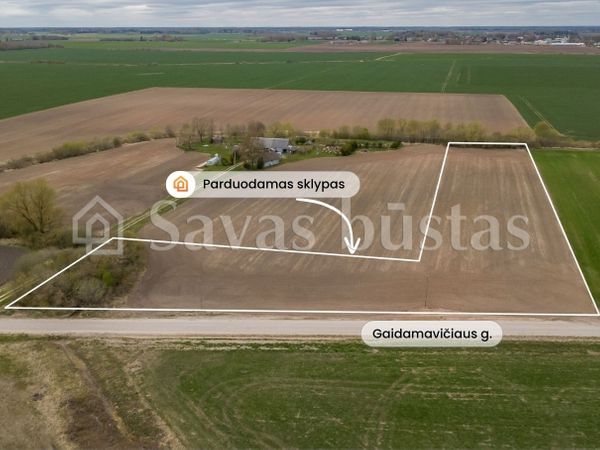 Šiaulių r. sav., Sereikiai