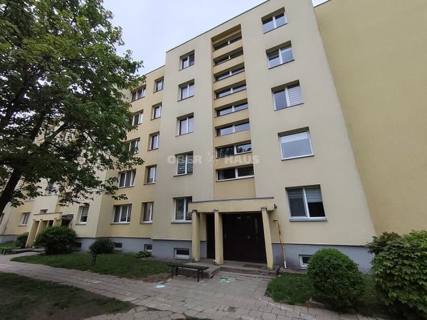 Panevėžys, Klaipėda