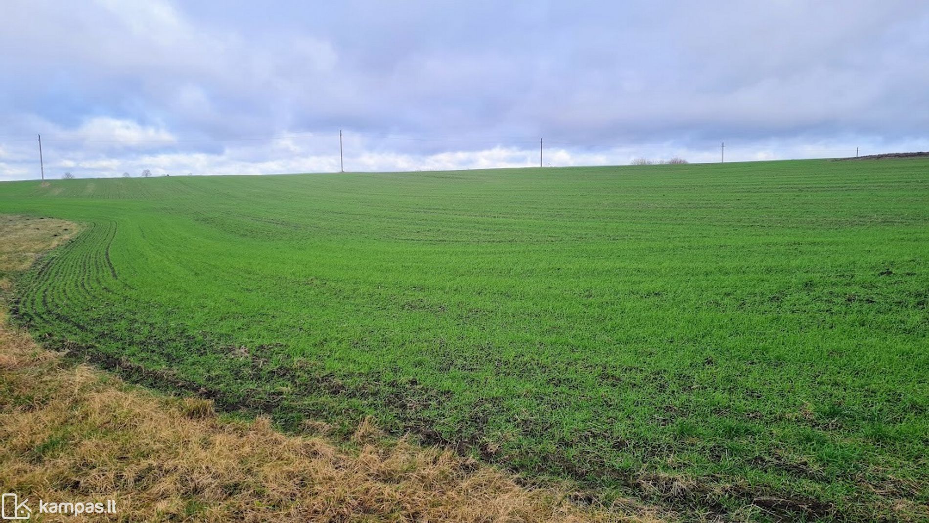 Main Image Lazdijų r. sav., Didžioji Kirsna, Pušyno g.