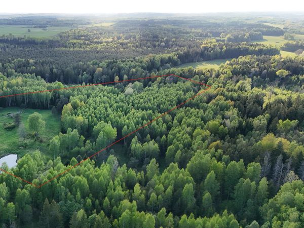 Molėtų r. sav., Molėtai