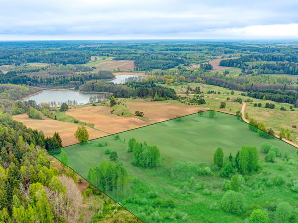 Trakų r. sav., Drabužininkai
