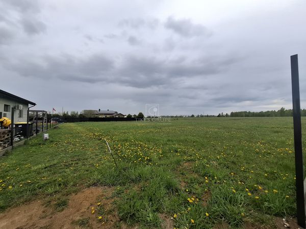 Klaipėdos r. sav., Radailiai