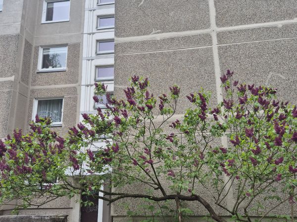 Vilnius, Justiniškės