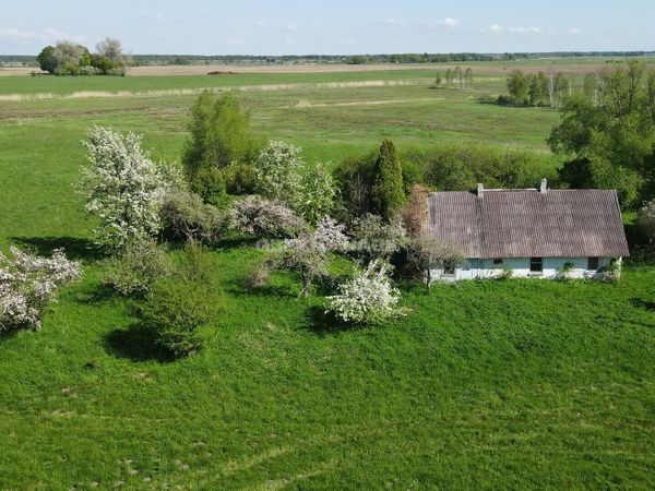 Šilutės r. sav., Muižė