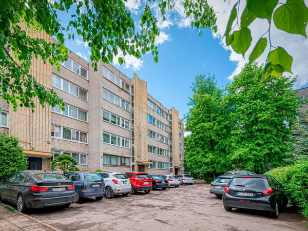 Kaunas, Žaliakalnis