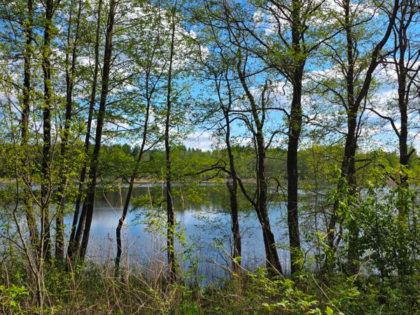 Molėtų r. sav., Gerčiukai