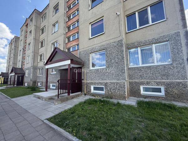 Šiauliai, Dainai