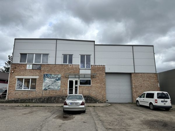 Panevėžys, Klaipėda