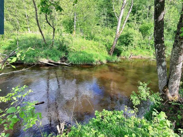 Širvintų r. sav., Navasiolkai II