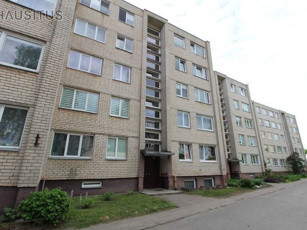 Panevėžys, Centras