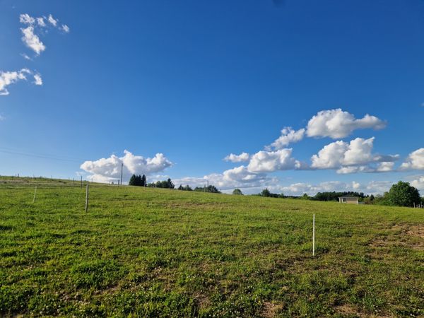 Vilnius, Kalnėnai