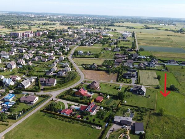 Kėdainių r. sav., Pelėdnagiai