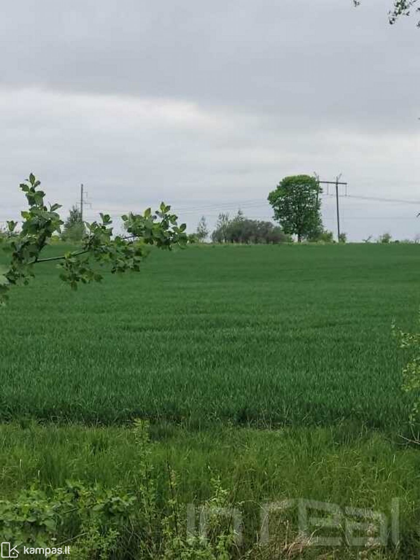 Main Image Šiaulių r. sav., Lieporiai, Notangos g.
