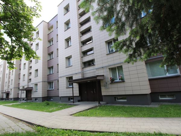 Panevėžys, Centras