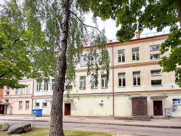 Panevėžys, Centras